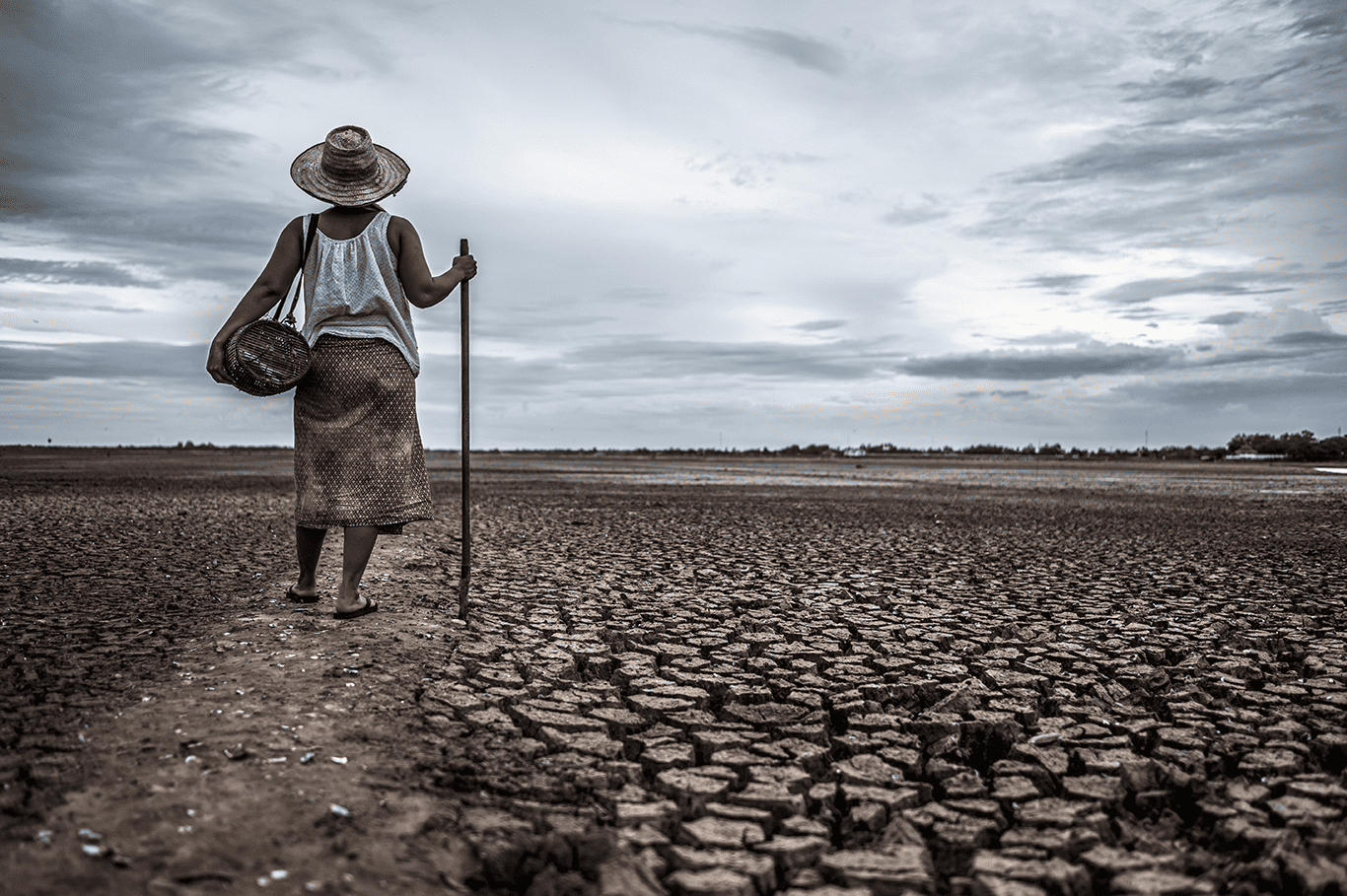 The Role of Banks & Financial Products in Reducing Environmental Impact